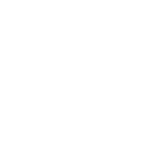 Phenom Elite